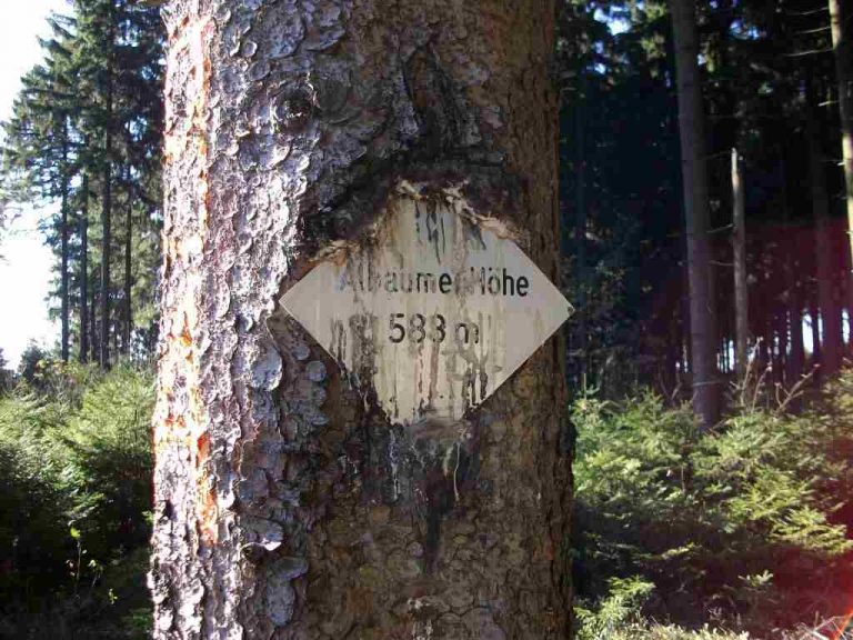 Albaumer Hoehe 1024 x 768