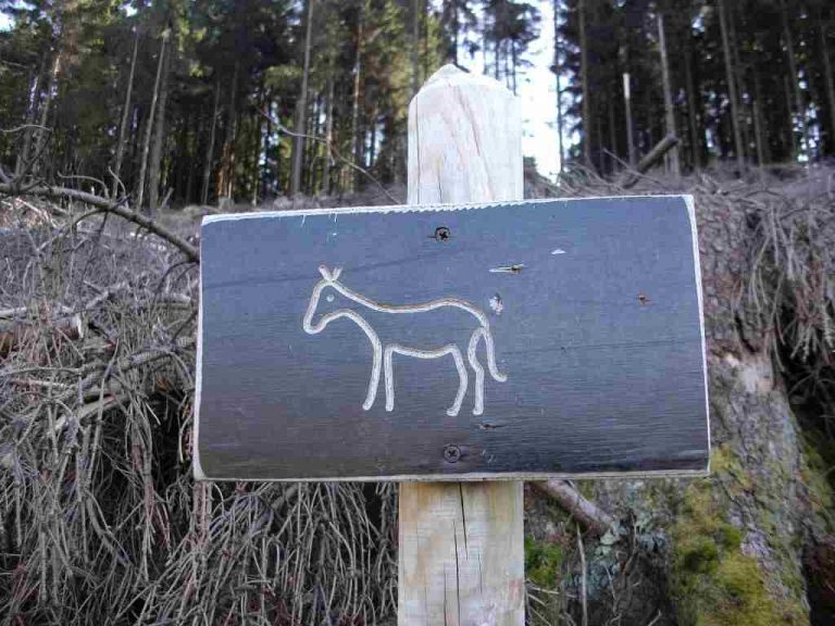 Beschilderung Eselspfad