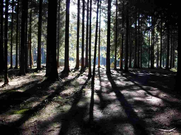 Blick auf den Dreiherrenstein
