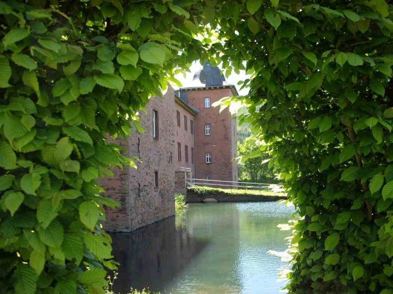 Blick durch die Blaetter auf die Adolfsburg 1024 x 768