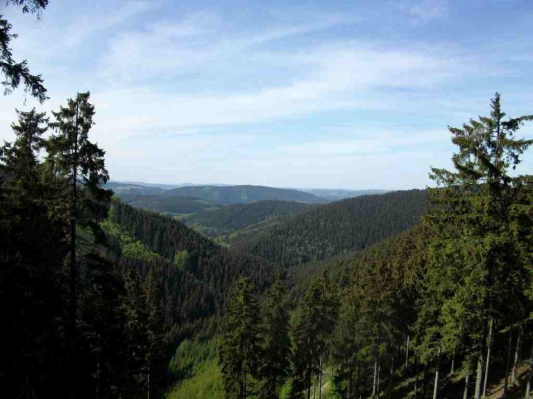 Blick ins Tal vor Jagdhaus 1024 x 768