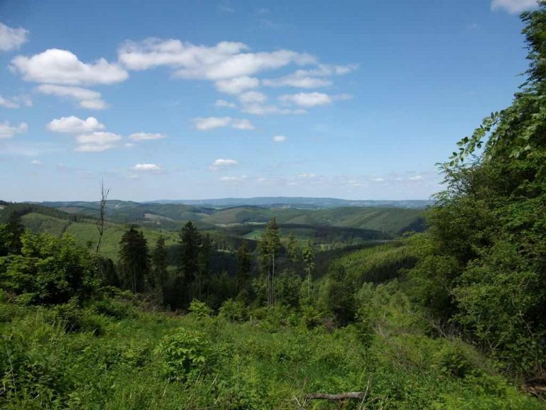 Blick von der Hohen Bracht sehr gut 1024 x 768 1