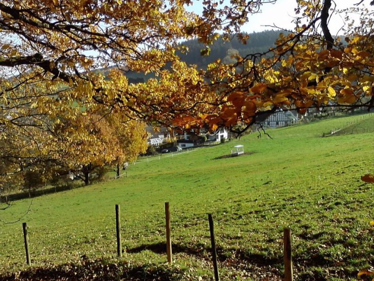 Herbstlaub mit Ortschaft 1024 x 768 1