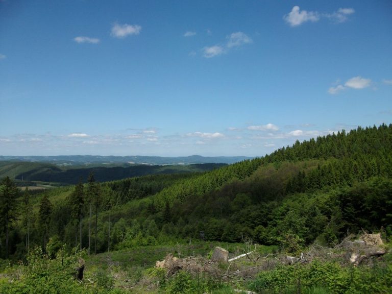 Natur pur 1024 x 768 1