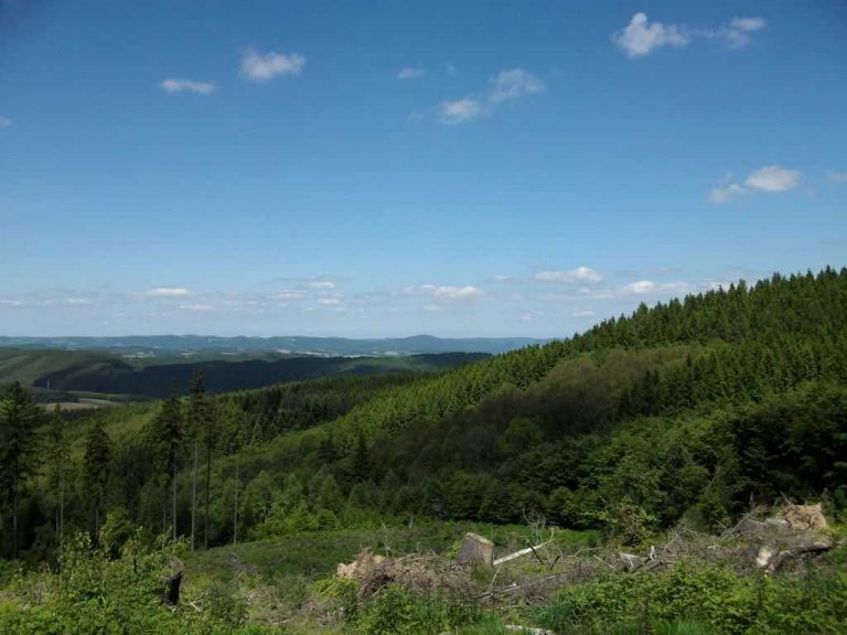 Natur pur 1024 x 768 2