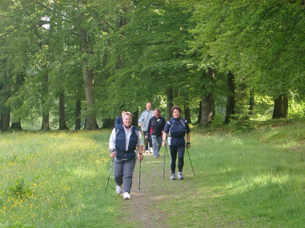 Nordic Walking1