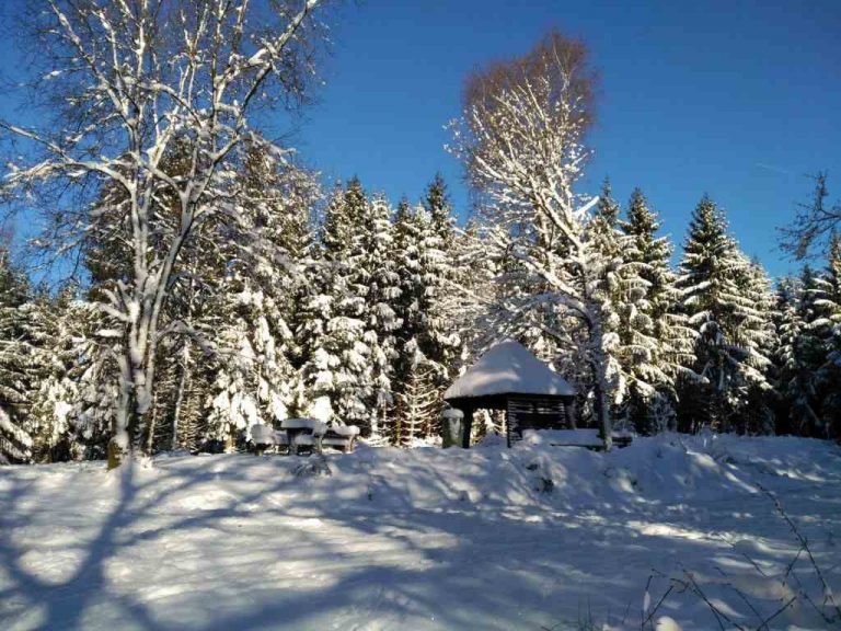 Rastplatz am Steinernen Kreuz 1080 x 768