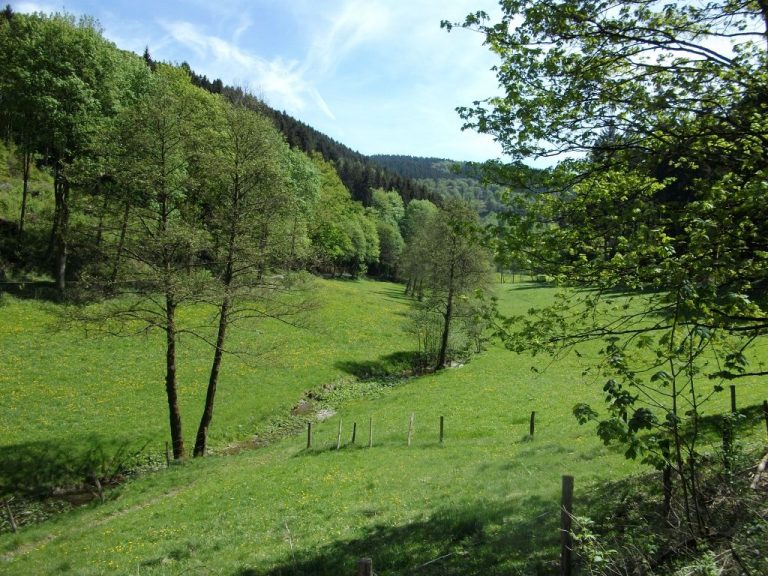 Tal bei Lenne 1024 x 768