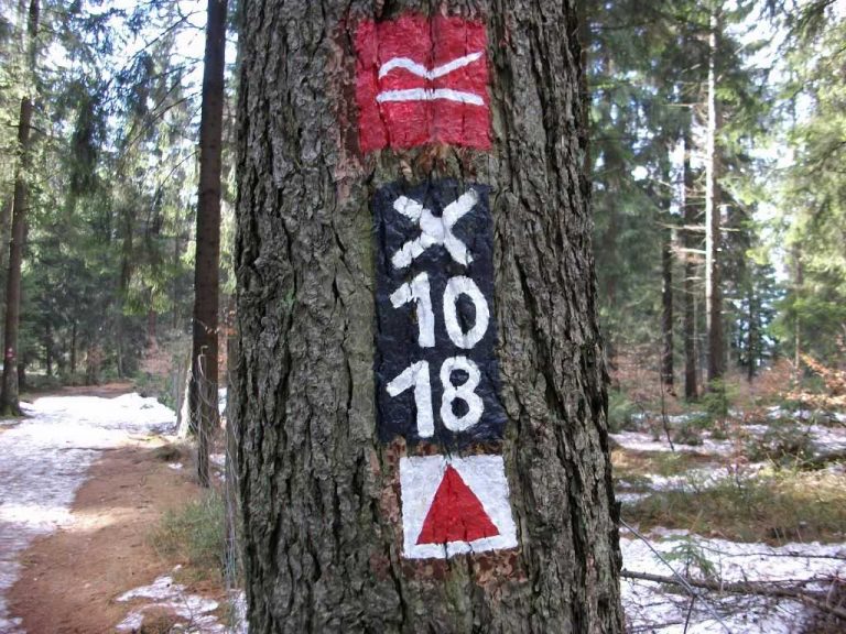 Wanderzeichen am Baum 1024 x 768 2