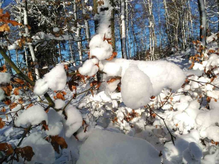 Winterimpressionen 1080 x 768