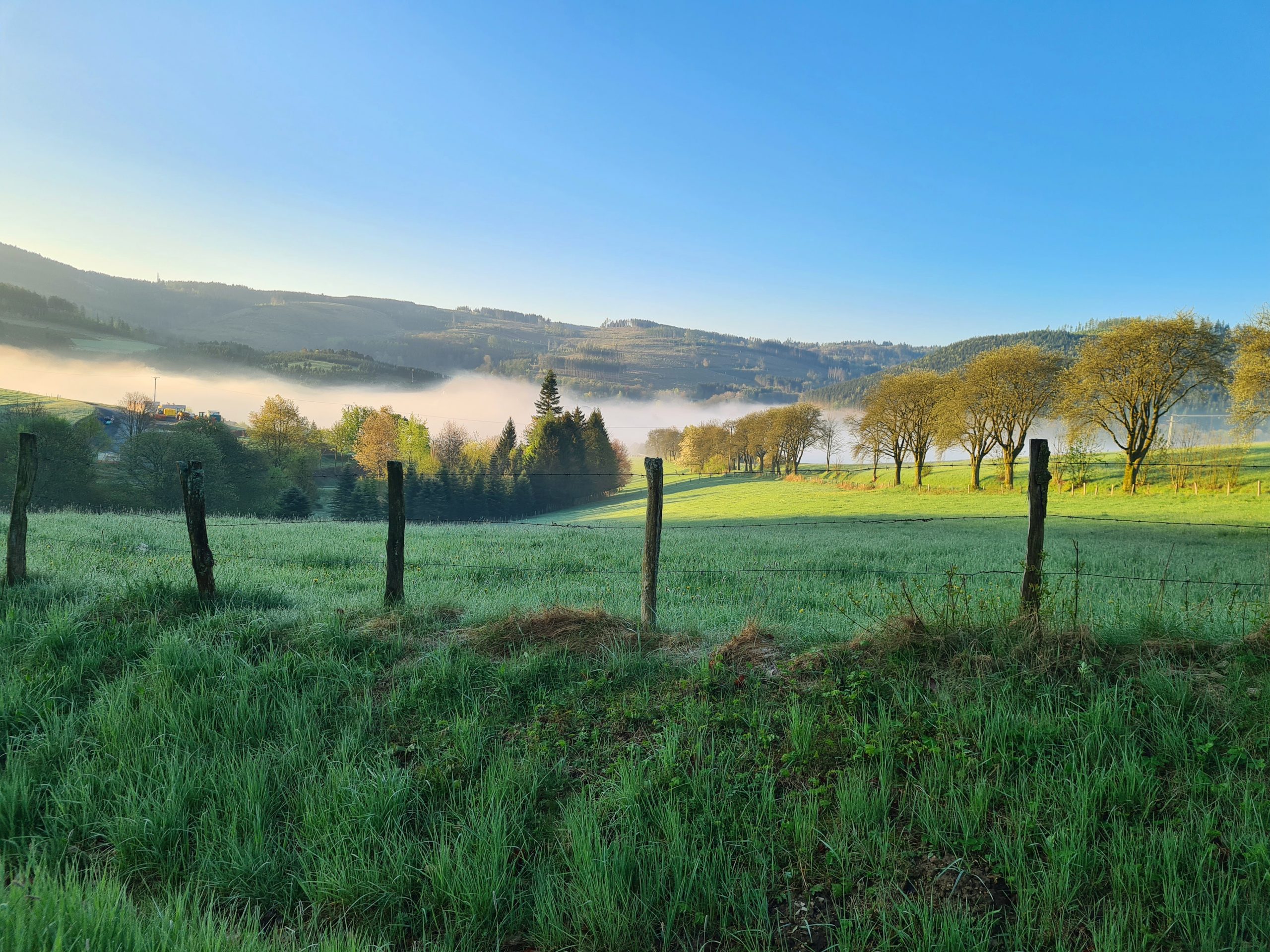 20250426 092549 scaled